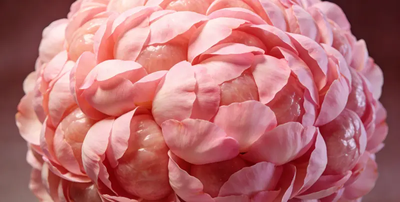 新乡BRCA1/2乳腺癌卵巢癌基因检测图片1